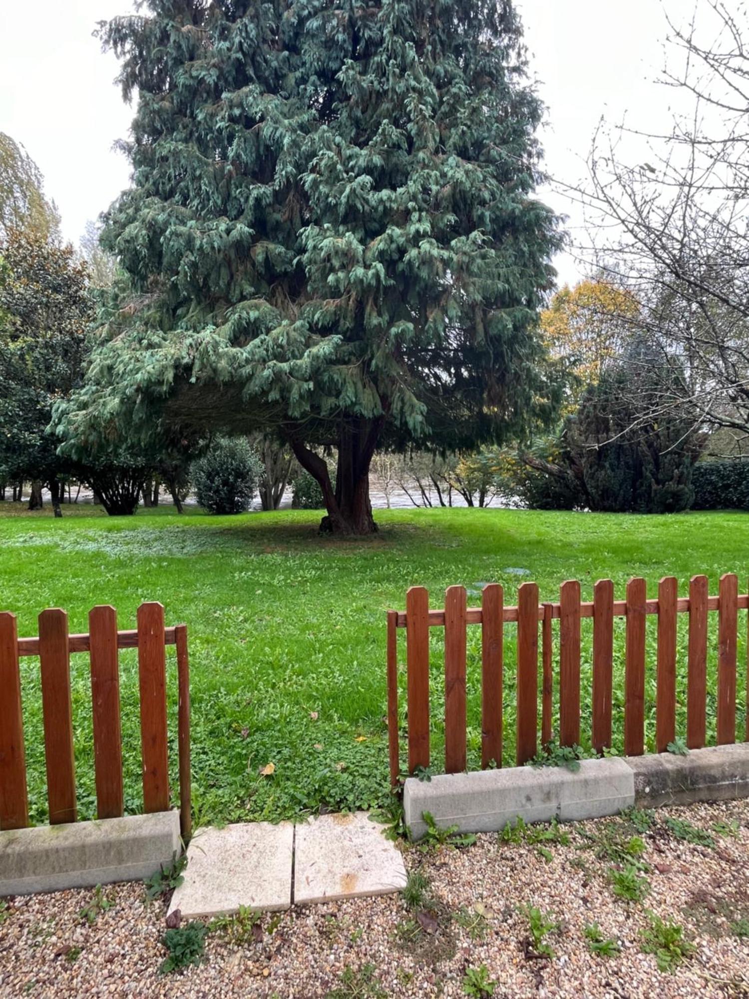 Logement Paisible En Bord De Vienne Bonneuil-Matours المظهر الخارجي الصورة